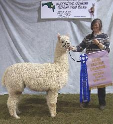 Linda Marie exhibits Inti Impression - their first homegrown champion.